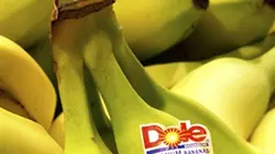 Visuel de Bananas ! l'ultime combat