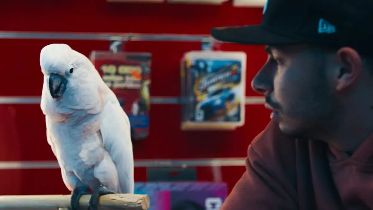 Bande annonce