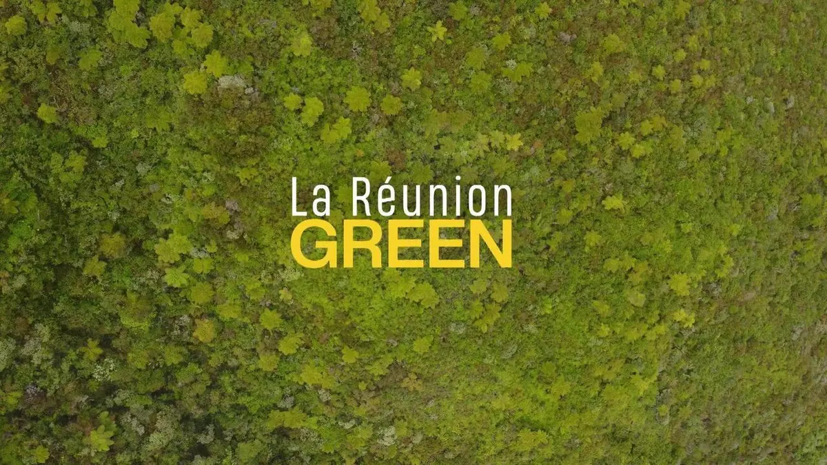 Bande annonce
