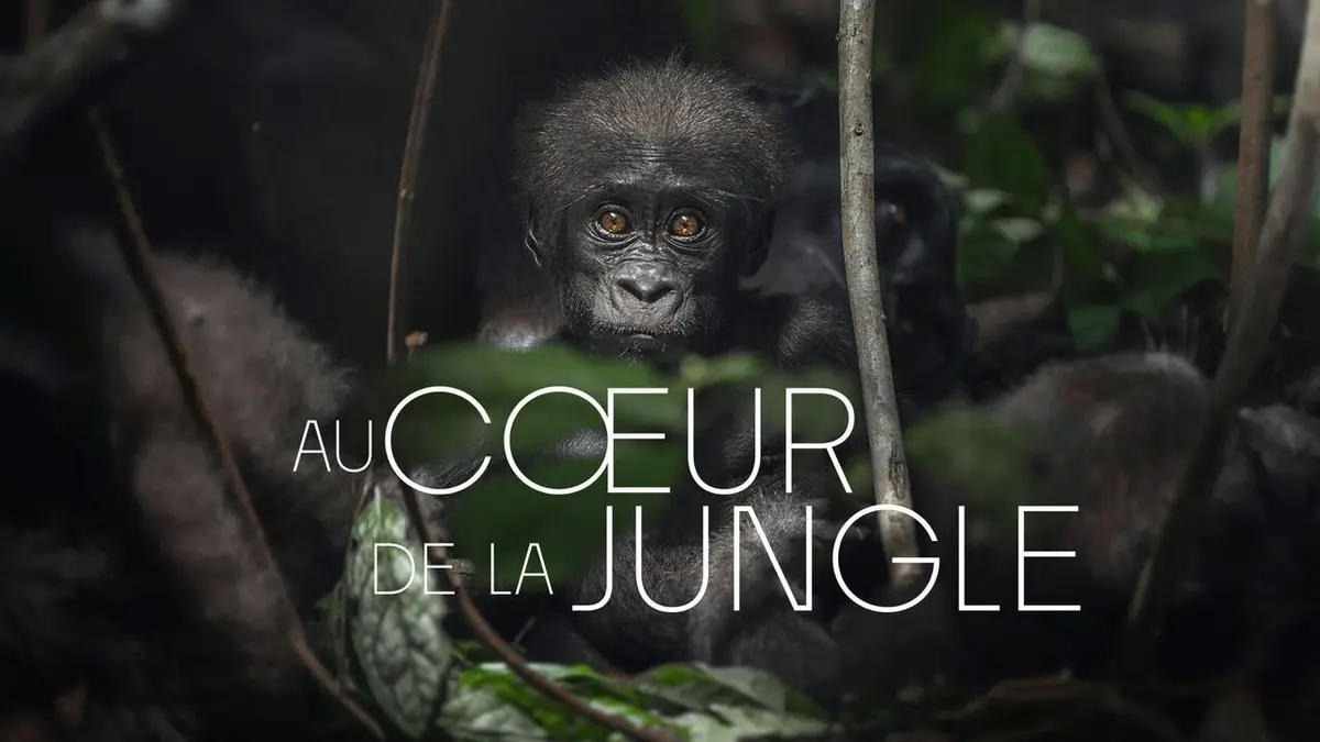 Bande annonce