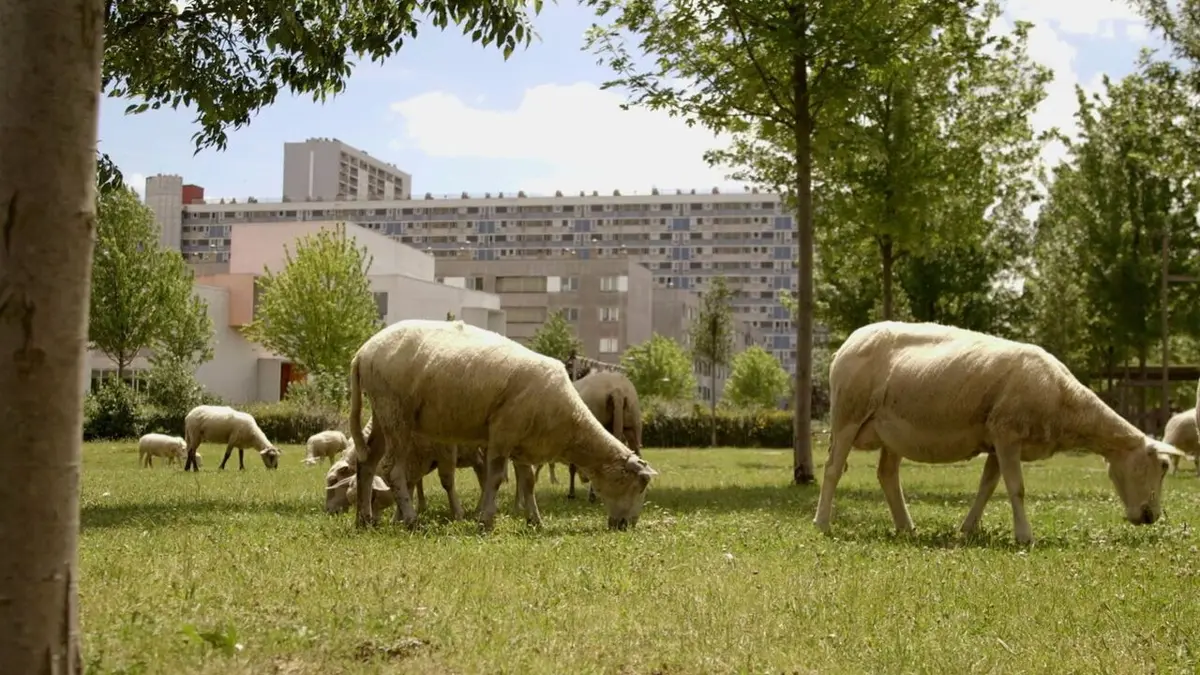 Bande annonce