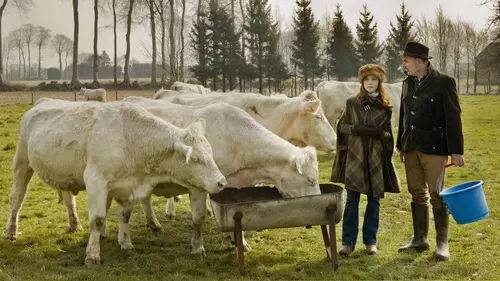 Bande annonce