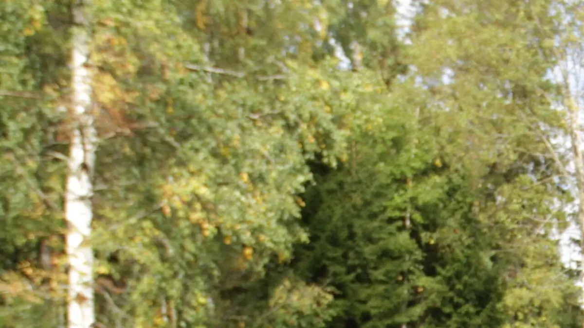 Bande annonce