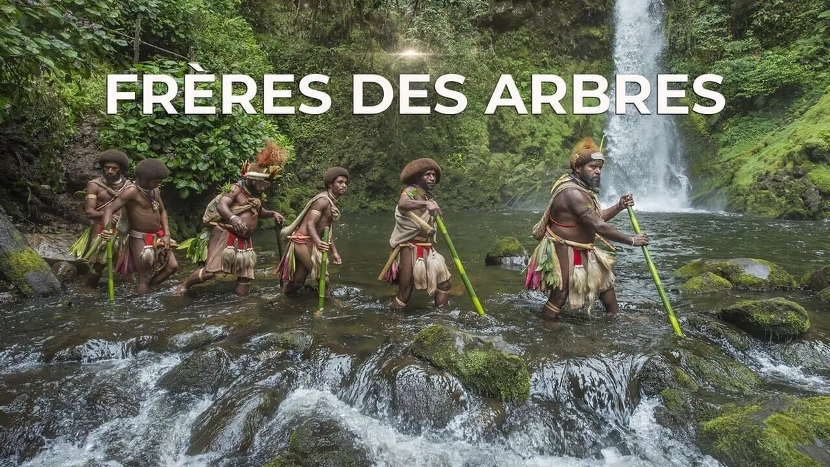 Bande annonce