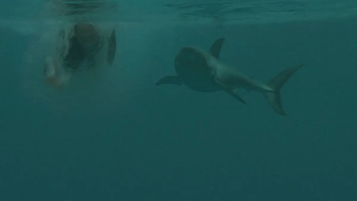 Bande annonce