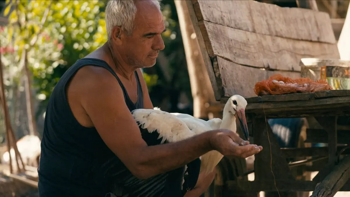 Bande annonce