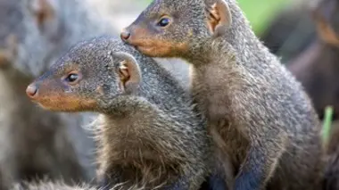 Le temps de la réconciliation