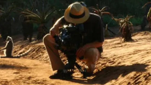 Bandes de lémuriens E09 Le complot de l'intérieur