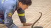 2019 • Bangkok, les chasseurs de serpents