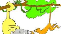 Barbapapa autour du monde S01E35 Les bisons