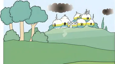 Barbapapa S01E31 La forêt