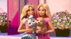 Barbie Princess Adventure