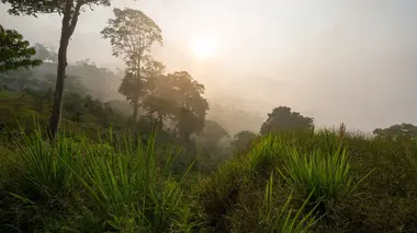 Baroudeurs 28 jours dans l'enfer vert du Honduras