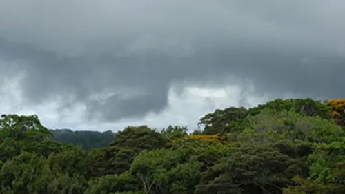 Barro Colorado, l'île fantastique
