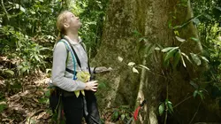Barro colorado, l'île mystérieuse