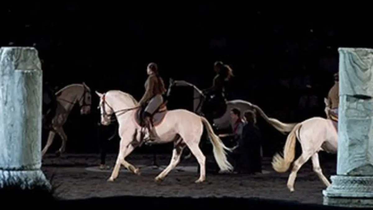 Bartabas, récital équestre pour une académie