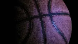 Visuel de Alba Berlin / Villeurbanne