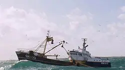 Visuel de Bataille en haute mer