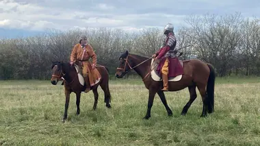 Les champs catalauniques