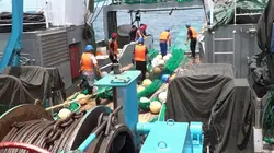 Visuel de Bateaux neufs, filets vides : pêcheurs de Sierra Leone