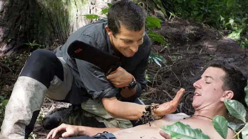Bear Grylls : Breaking Point Maricela et Mike : arbres / insectes
