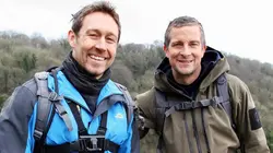 Bear's Wild Adventure