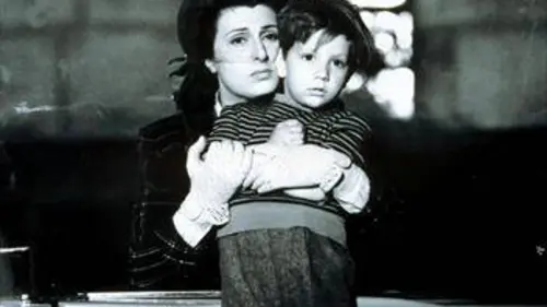 Beaucoup de rêves sur les routes