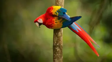 Beauval, au plus près des animaux Défis pour les soigneurs