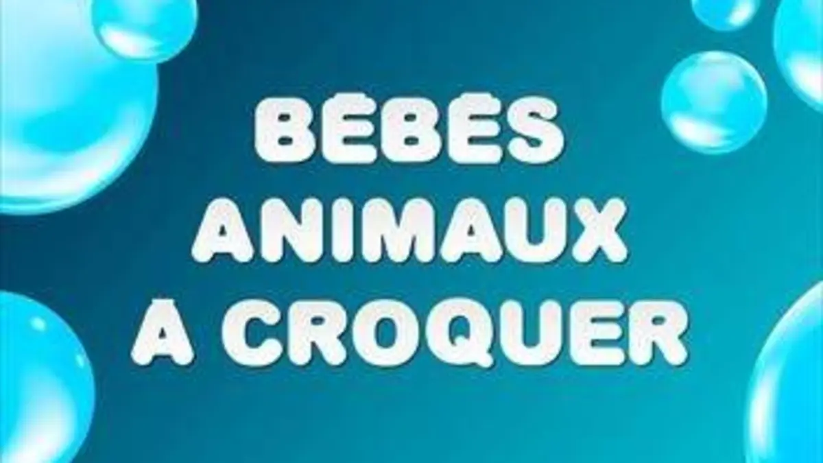 Bébés animaux à croquer L'amour, toujours l'amour - Documentaire — free download