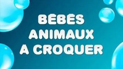 Bébés animaux à croquer Nos meilleurs amis