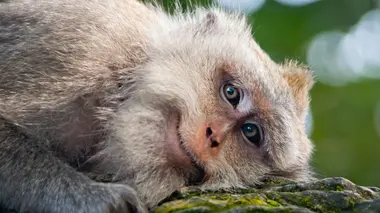 Découverte de la vie sauvage