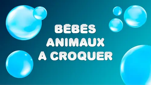 Bébés animaux à croquer Gros nounours