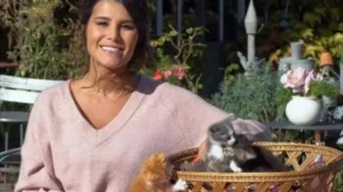 Bébés chats : les 100 premiers jours de leur vie