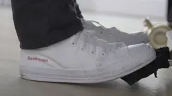 Beethoven, popstar de 250 ans