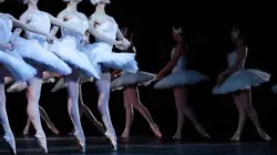 Beethoven Project de John Neumeier