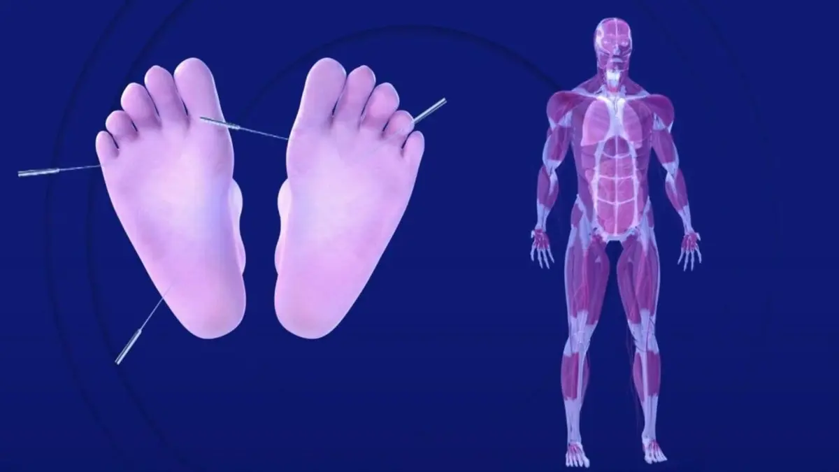 Bel & Bien ensemble Hypnose, acupuncture, méditation, comment ça marche ?