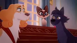 Belfort & Lupin S01E18 Le billard du roi