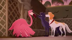 Belfort & Lupin S01E11 Déboussolé