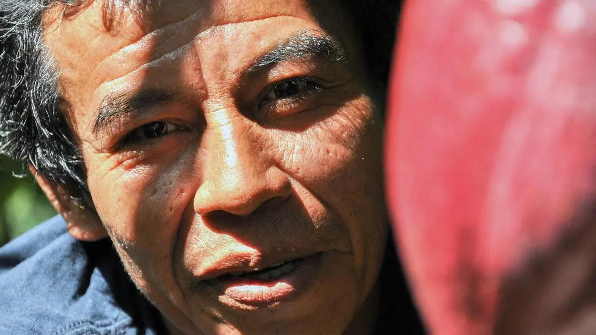 Belize, le cultivateur de cacao