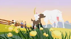 Belle et Sébastien  S01E34 Premiere rencontre : la traque