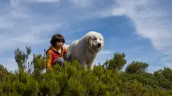 Sur M6 à 21h10 : Belle et Sébastien : nouvelle génération