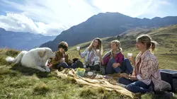 Belle et Sébastien : nouvelle génération