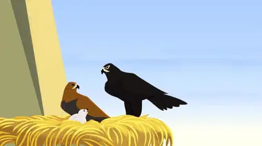 Belle et Sébastien S01E30 L'aigle noir