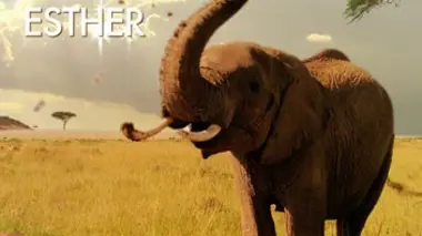 Petits meurtres en famille