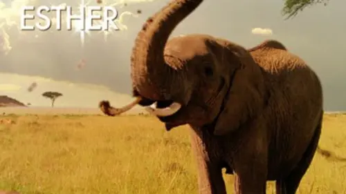 Belles et rebelles S02E03 Petits meurtres en famille