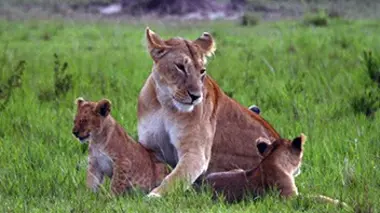 Petits arrangements entre ennemis