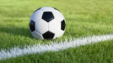 Benfica Lisbonne / CD Santa Clara Football Championnat du Portugal 2020/2021