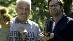 Visuel de Benoît le bienheureux