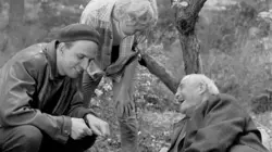Bergman, une vie en quatre actes