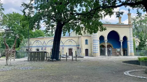 Berlin : des zoos dans la guerre froide